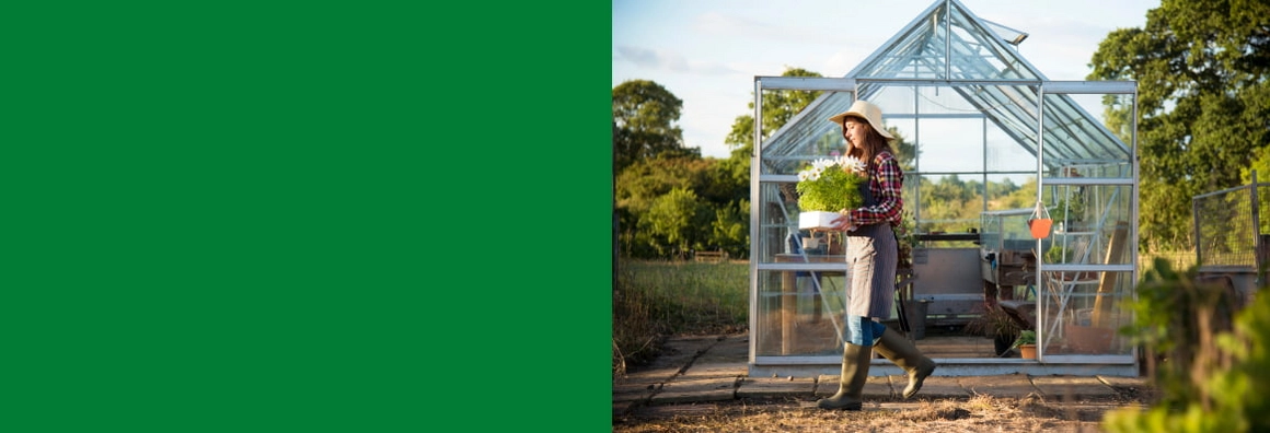 Eine Person mit Hut trägt Pflanzen aus einem Gewächshaus.